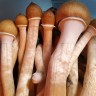 Buy Sterile Cubensis Tapalpa Spore Print