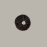 Cubensis Tapalpa spore print buy
