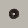 Cubensis Tasmanian spore prints buy with delivery