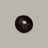 Buy spore print of Cubensis Mazatapec in the online store