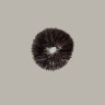 Cubensis Burma spore print
