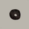 Cubensis F+ spore print buy
