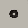 Buy Cubensis Huautla mushroom spore prints